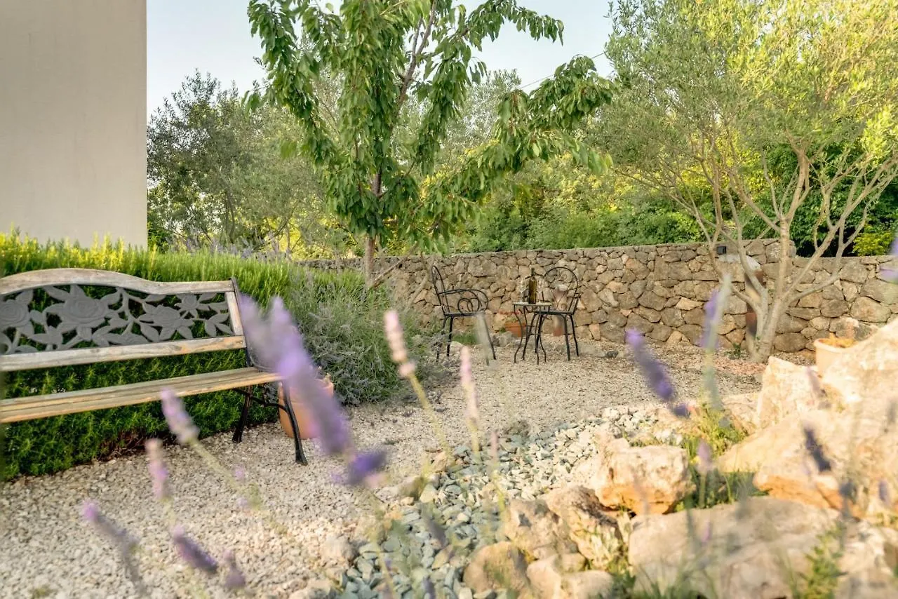New Villa With Swimming Pool, Olive Grove And Sea View By Traveler Tourist Agency Krk Id 2201 Brzac 0*,